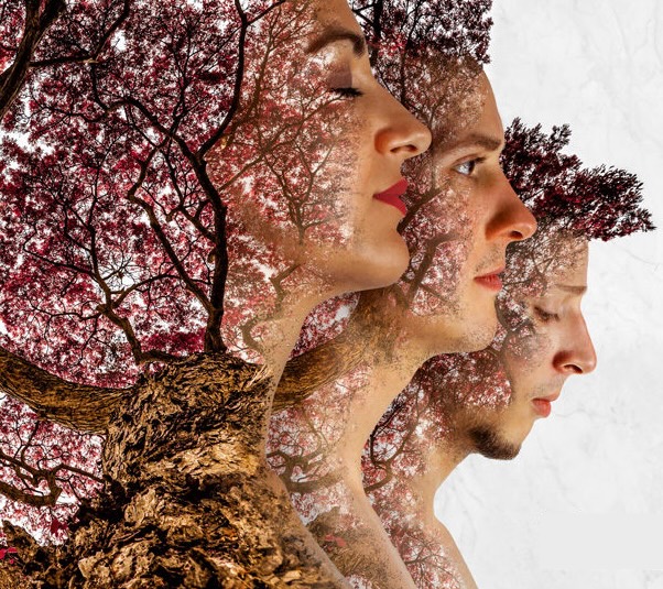 Heirs to the Wild Sa 24.01.2026 | 20:00 Uhr